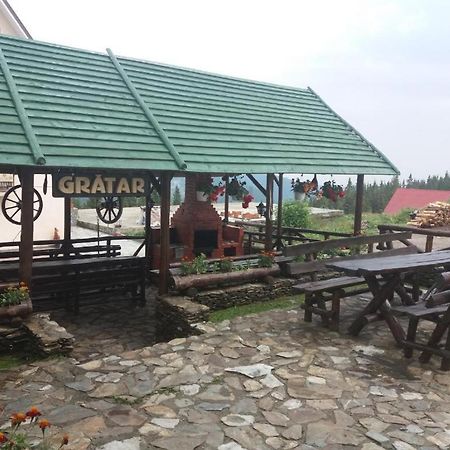 Pensiunea Brandusa Ranca Dış mekan fotoğraf