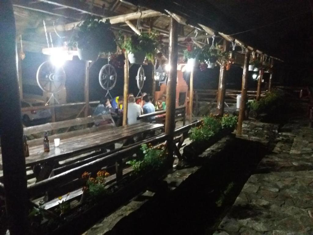 Pensiunea Brandusa Ranca Dış mekan fotoğraf