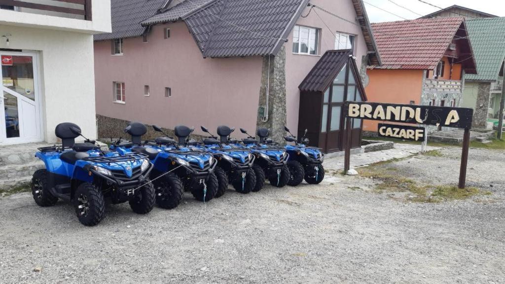 Pensiunea Brandusa Ranca Dış mekan fotoğraf